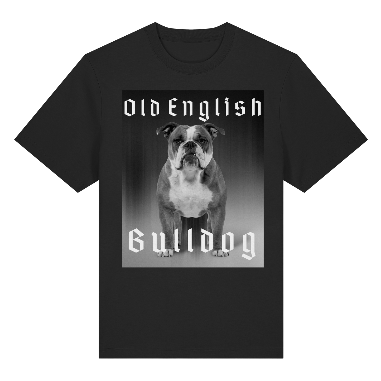 T-Shirt Old English Bulldog - BULLSPORT